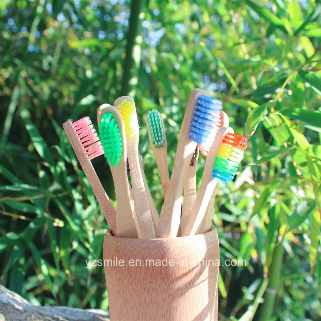Free Sample OEM 100% Biodegradable Eco Bamboo Toothbrush