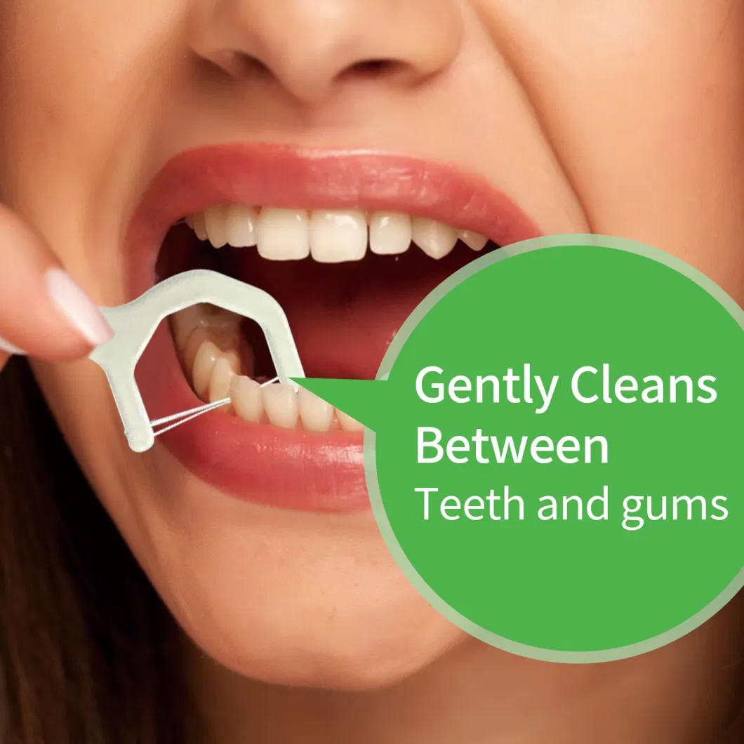High Quality PTFE Floss Dental Tooth Pick Floss Harps