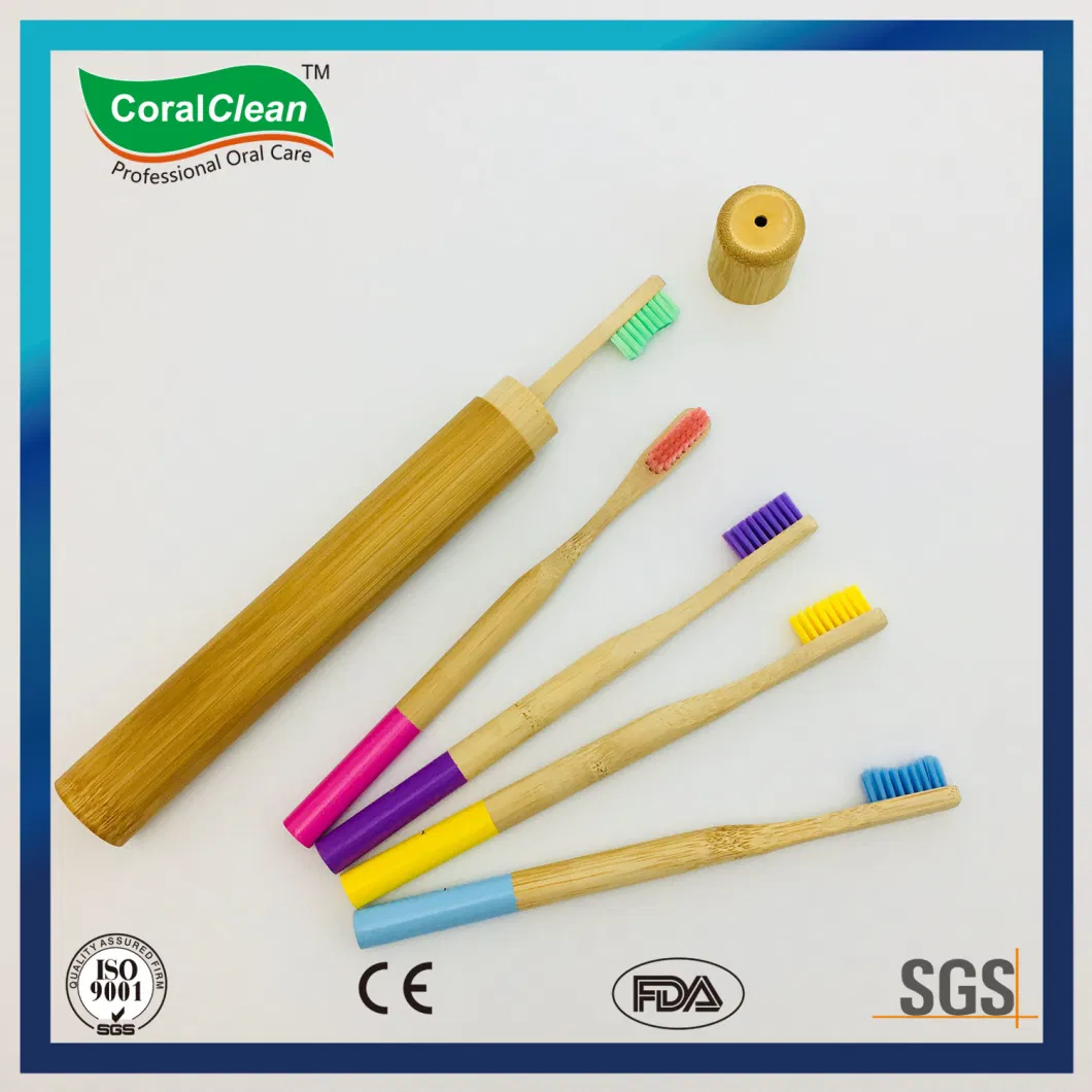 Custom Logo Biodegradable Eco-Friendly Bamboo Toothbrush Manufacturer