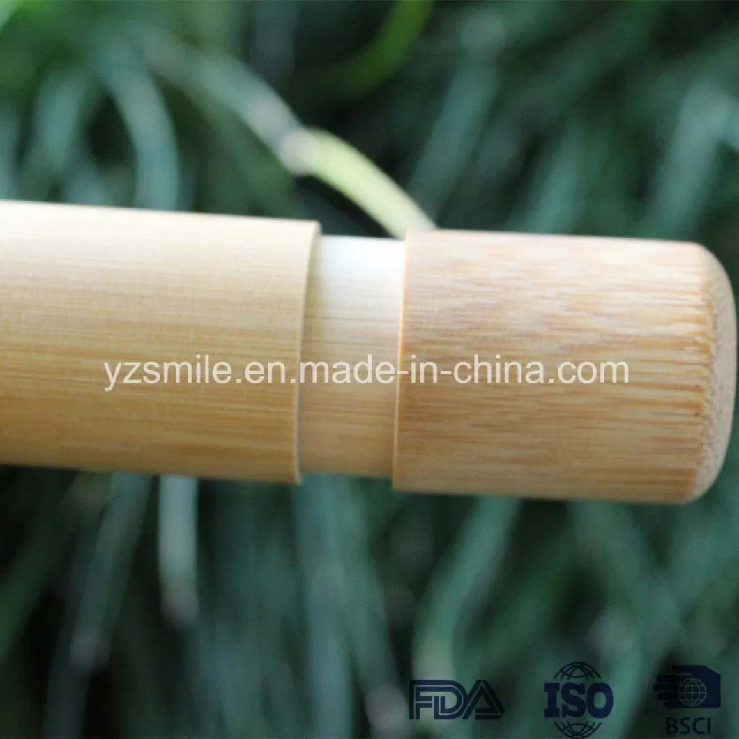 Yangzhou Supplier BPA Free Eco Friendly Bamboo Toothbrush