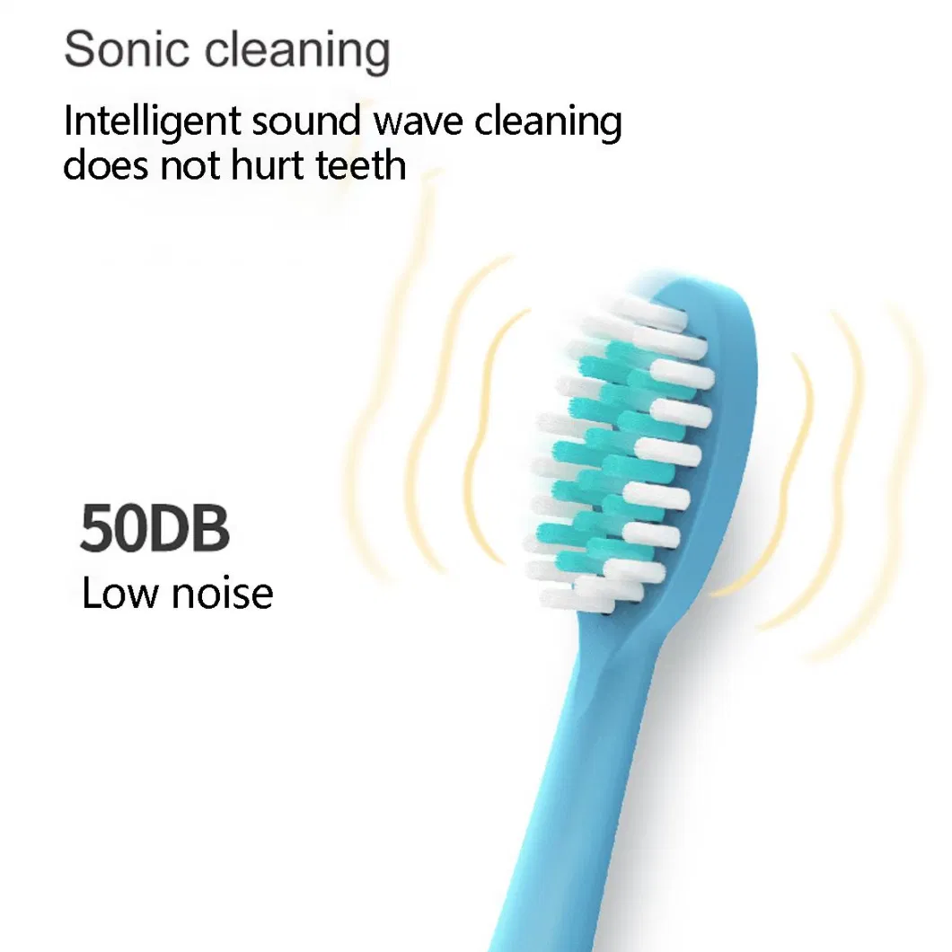 Professional Wholesale Ipx7 Waterproof Sonic Toothbrush Adult Rechargeable Electric Toothbrush