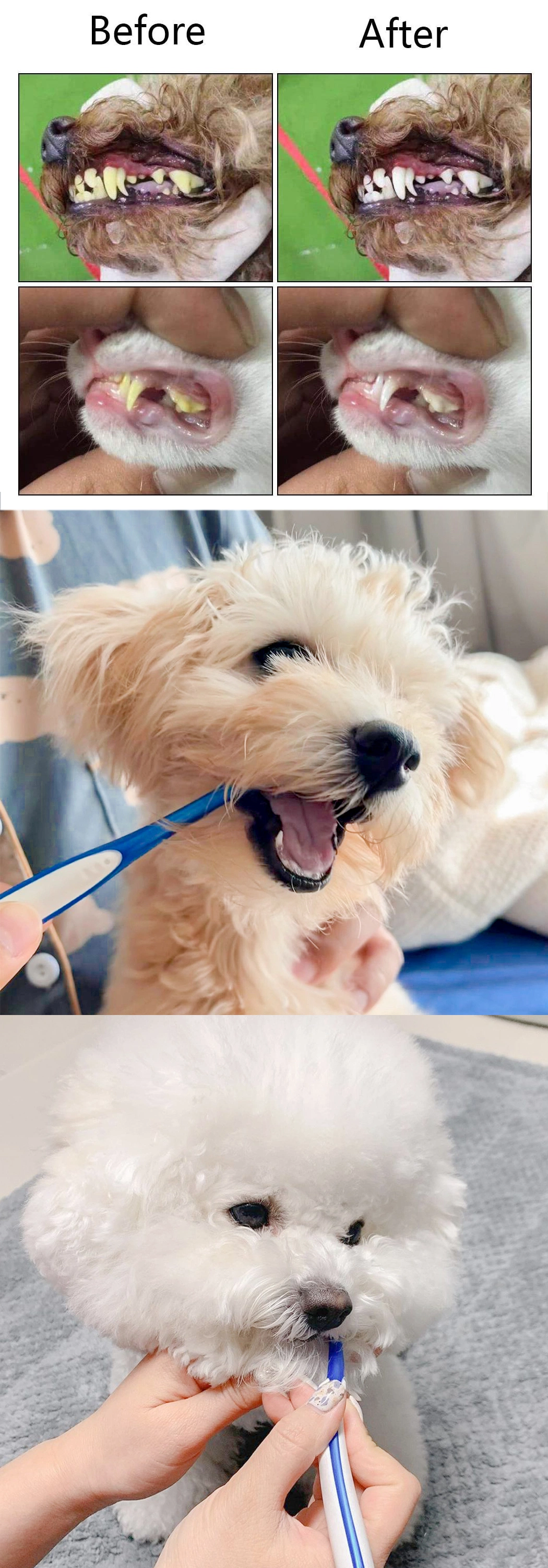 OEM Extra Soft Bristle Small Head Dog Cat Pet Toothbrush