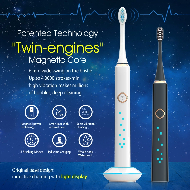 OEM Adult Rechargeable Sonic Electric Toothbrush with Double Brush Heads
