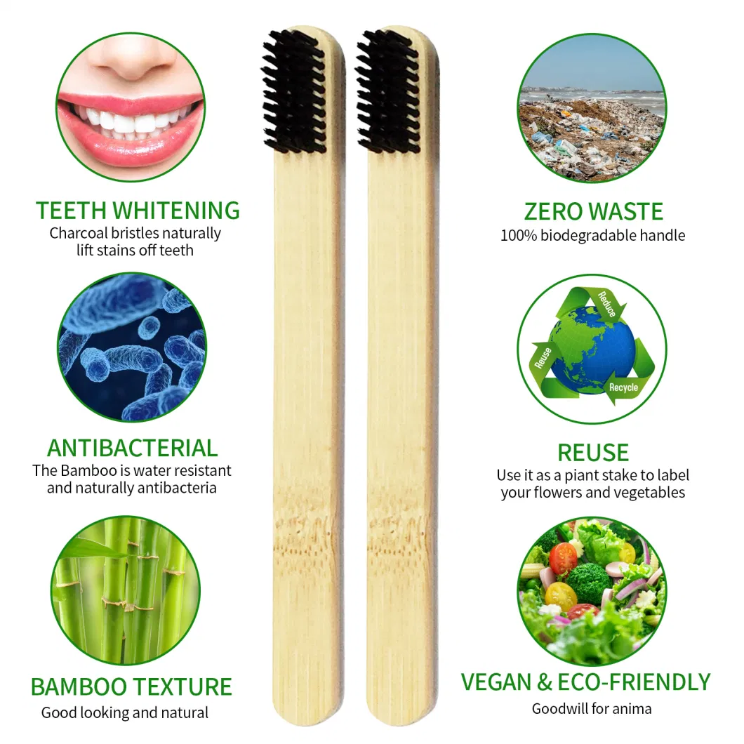 100 % Healthy Eco Organic Charcoal Bamboo Toothbrush for Home Use