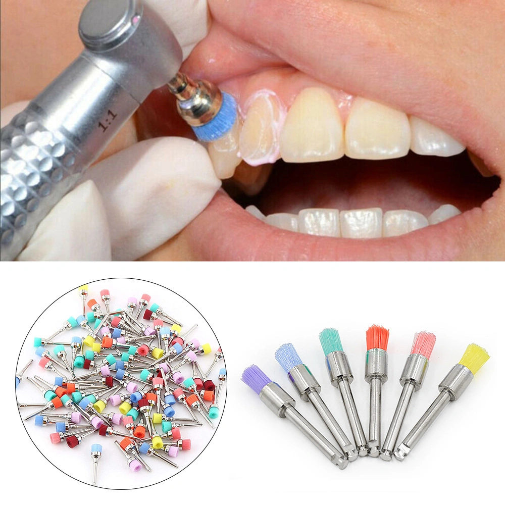 Natural Bristle Teeth Polishing Disposable Dental Prophy Brush