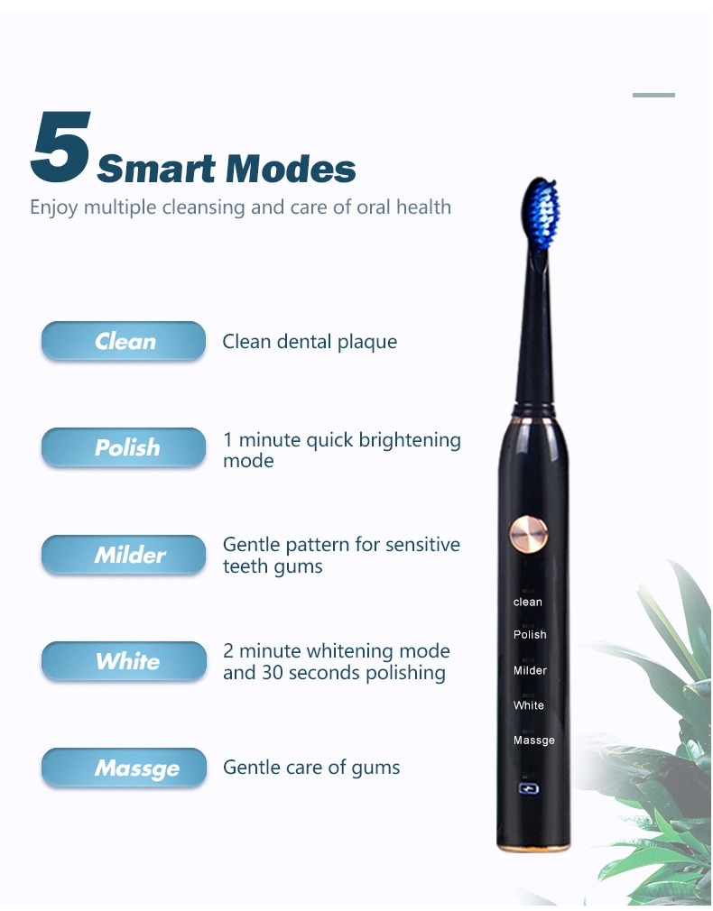 Wholesale Adult Round Electric Tooth Brush Ultrasonic Toothbrush OEM 2022