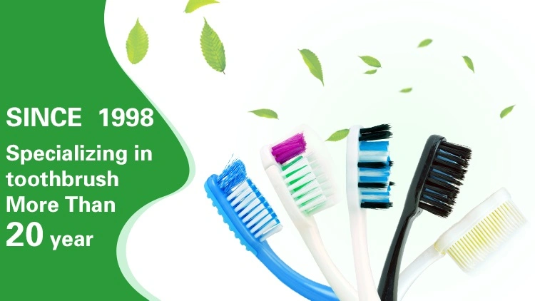 Various Specifications Factory Manufacturer Environmentally Friendly Toothbrush