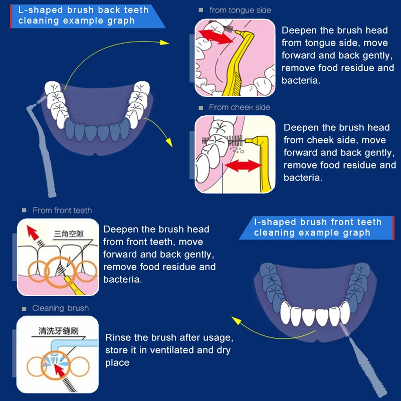 Two-in-One DuPont Household L-Shaped Interdental Brush to Clean Interdental Hygiene