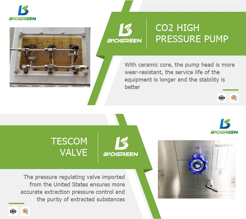 Corn Silk Style Supercritical Extraction