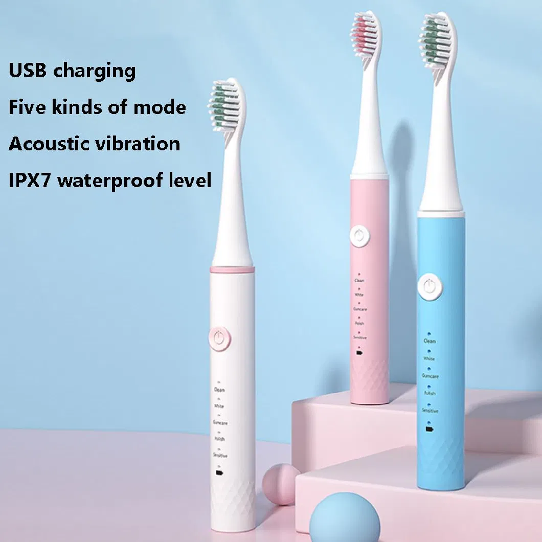 Factory Direct Supply Household Rechargeable 5-Speed Adult USB Soft Brush Head Smart Oral Electric Toothbrush