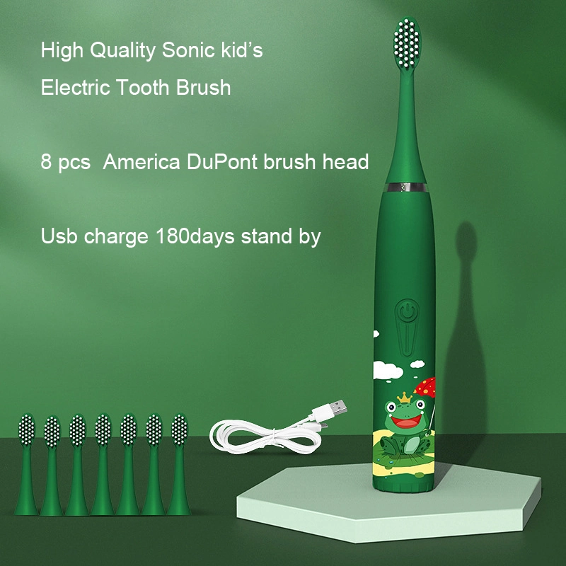 Professional Wholesale Ipx7 Waterproof Sonic Toothbrush Adult Rechargeable Electric Toothbrush