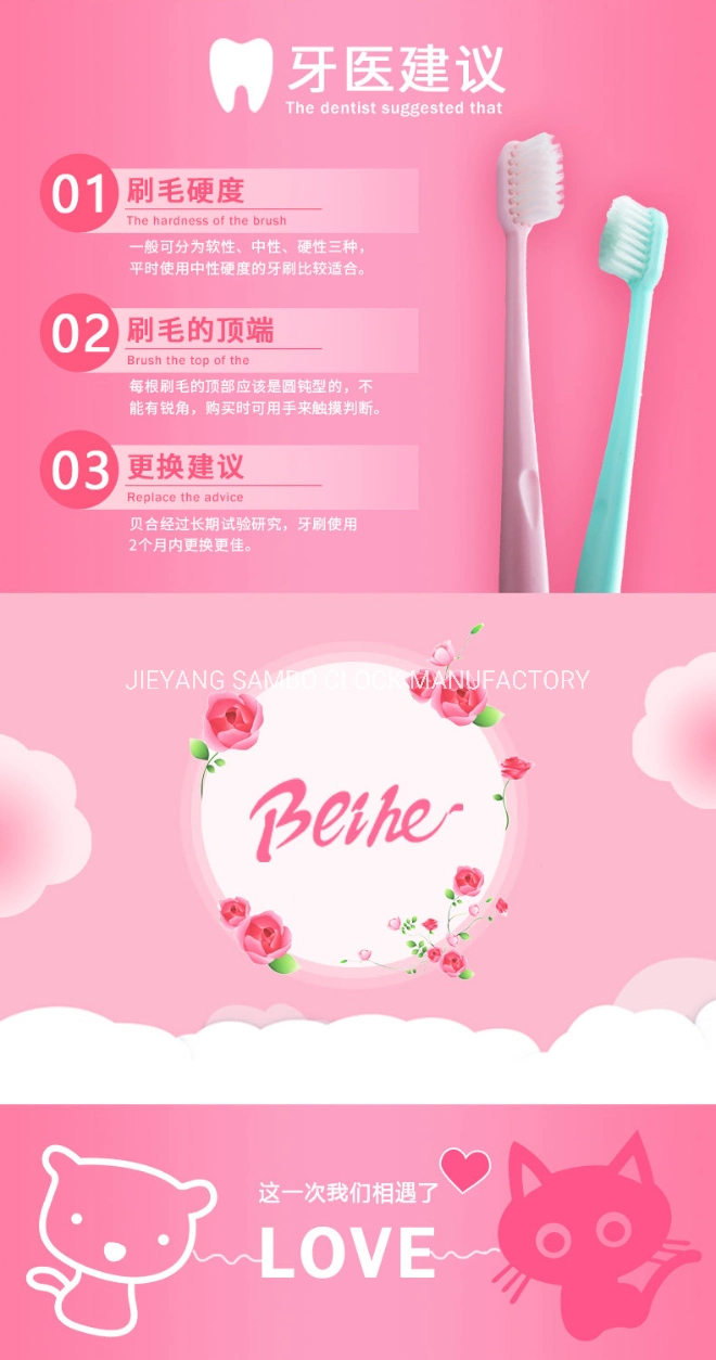 Beihe Soft Nylon Bristles Toothbrush