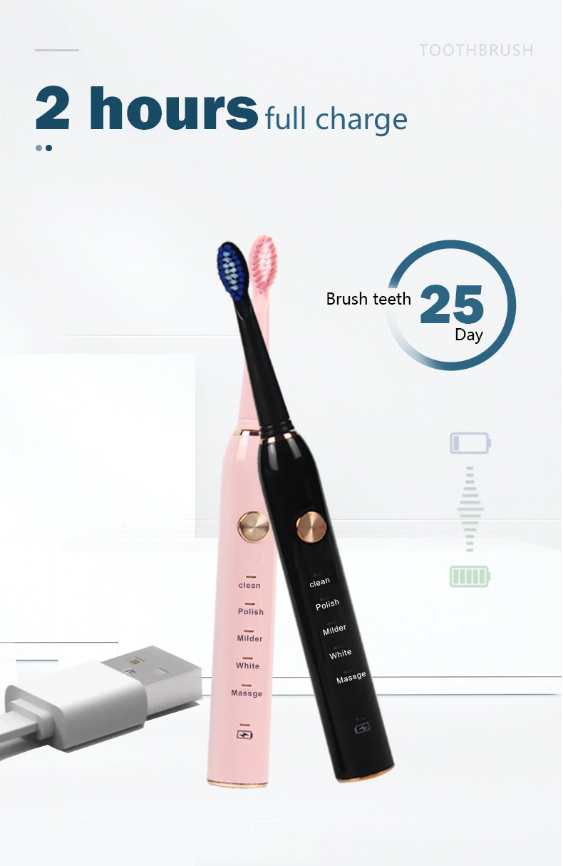 Wholesale Adult Round Electric Tooth Brush Ultrasonic Toothbrush OEM 2022