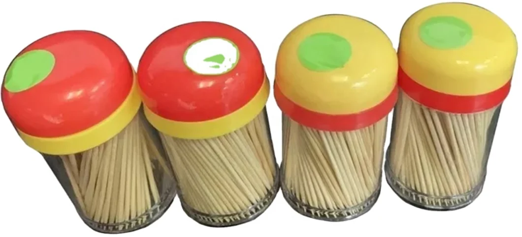 Plastic Bottle Packed Biodegradable Bottled Bamboo Toothpicks in Bottle