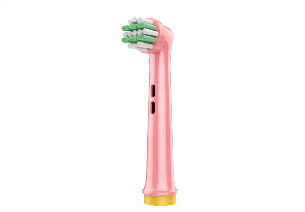 Colorful Electric Toothbrush Head Type B