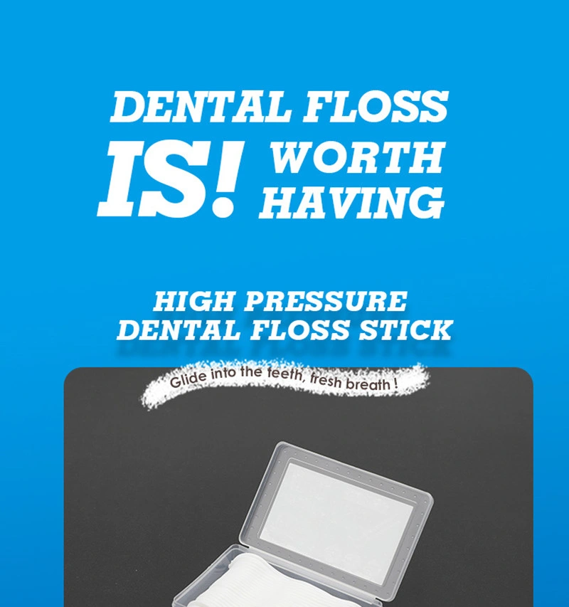 Custom 50PCS/Box Silk Dental Floss Pick Plastic 2 in 1 Dental Floss Sticks Toothpick New Oral Care Products