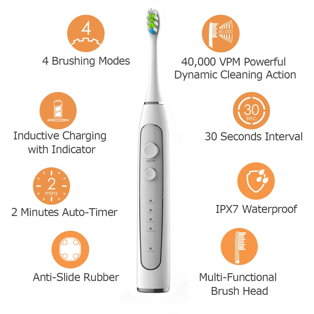 Wholesale Rechargeable Adult Automatic Sonic Electric Toothbrush with Soft Toothbrush Heads