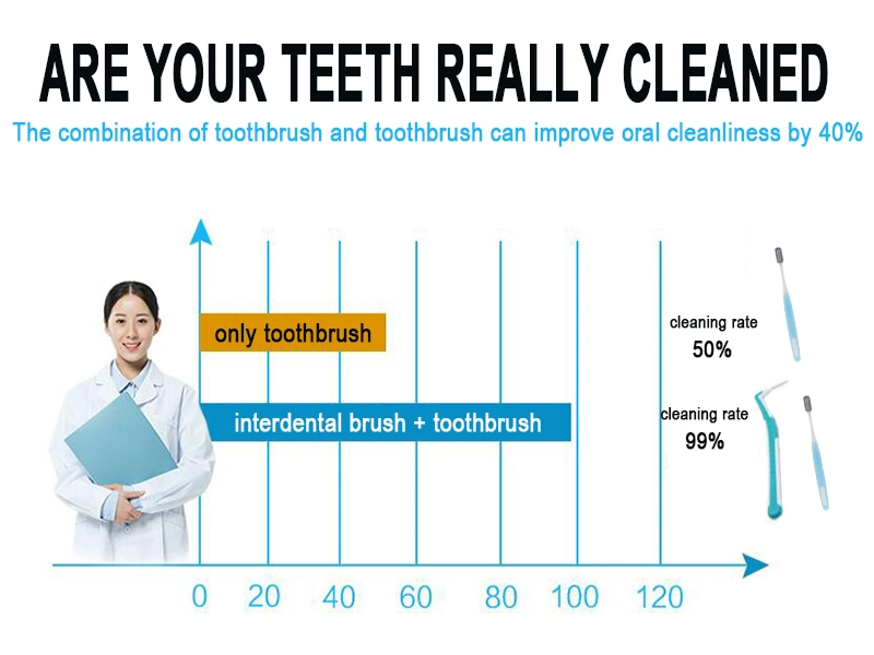 Soft Bristles Clean Between Teeth Toothpick Interdental Brush
