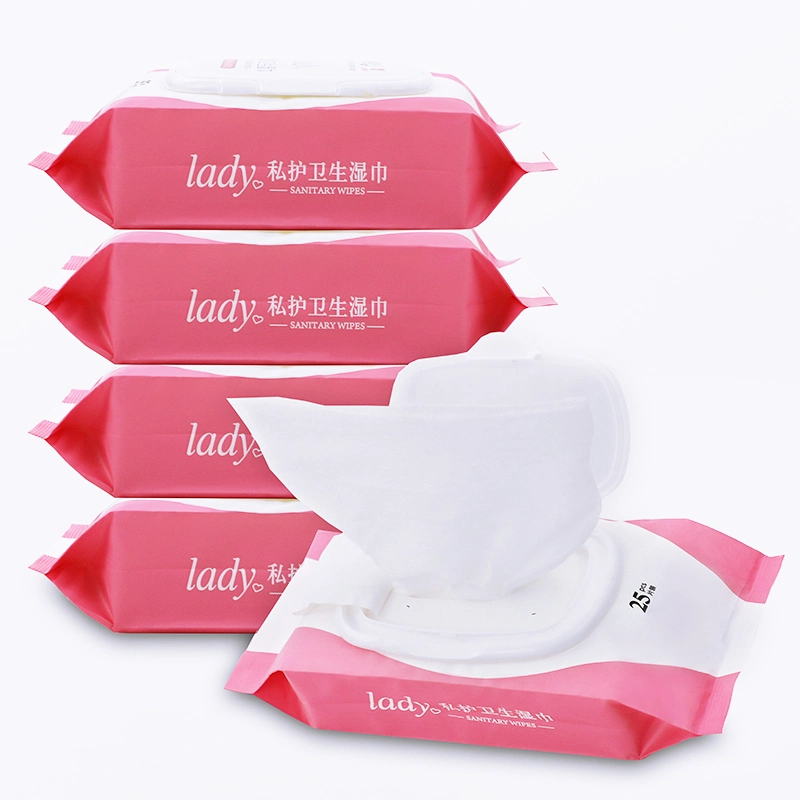 Wet Toilet Paper Menstrual Period Private Parts Wet Tissue Pregnant Postpartum Women Hygienic Wipes