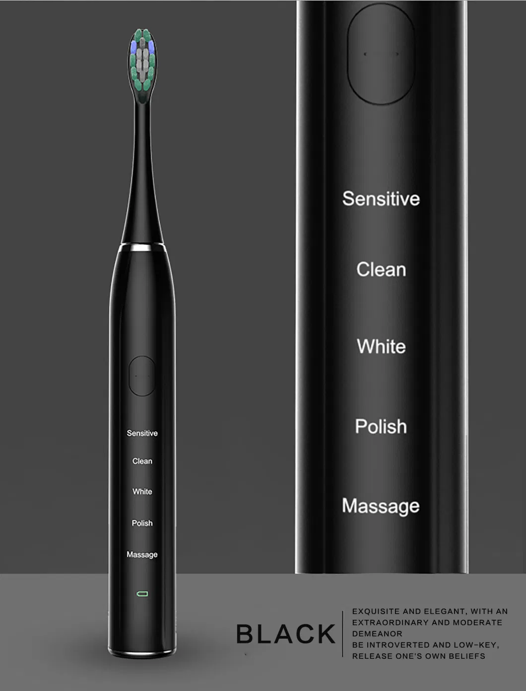 Sonic Technology 5 Models Oral Care Dental Care Electric Toothbrush