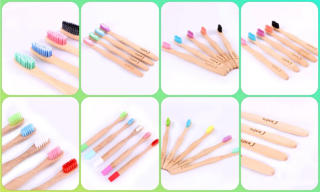 Biodegradable Eco-Friendly Natural Bamboo Charcoal Nylon Bristle Toothbrushes