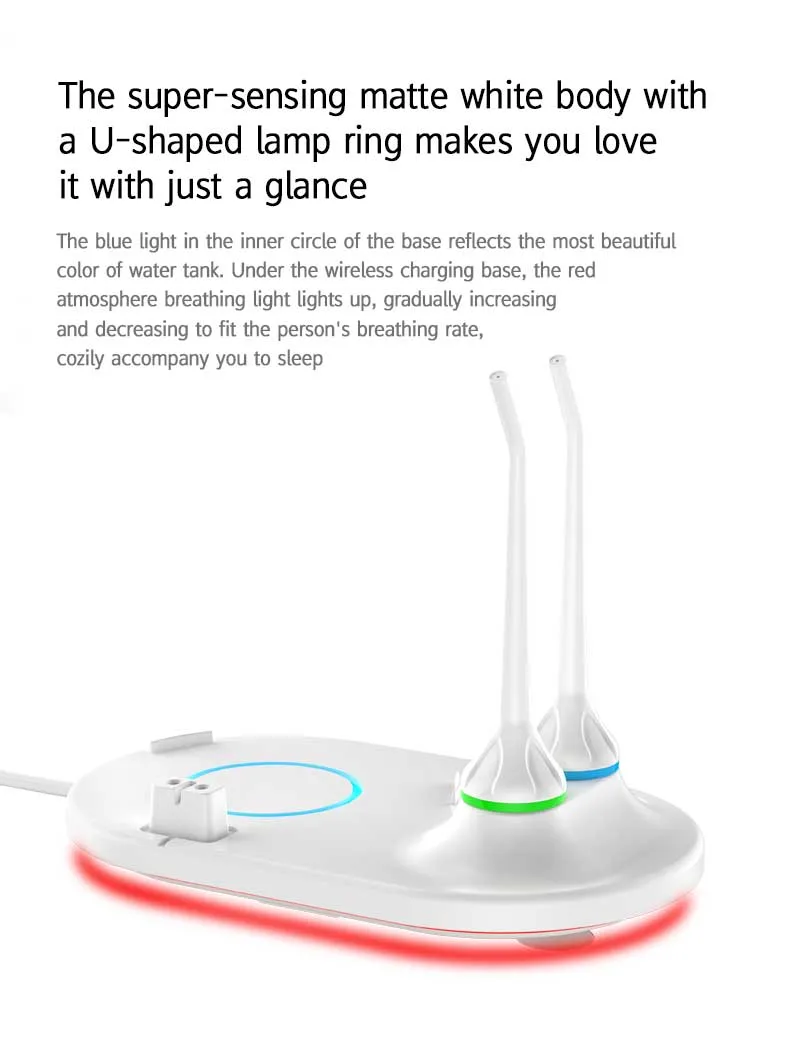 Oral Care Water Flosser Dental Irrigator with Cheap Price