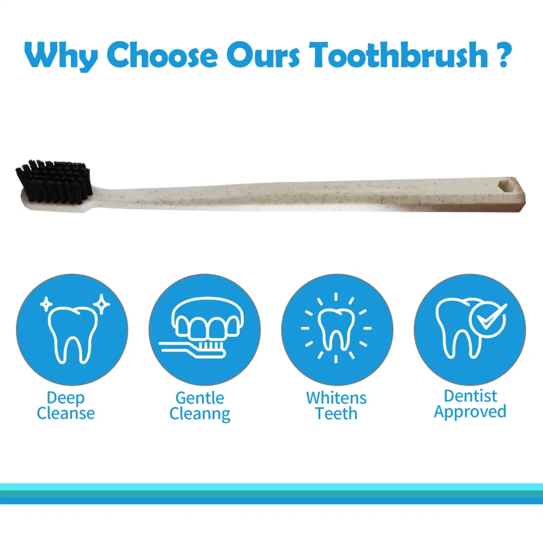 New Design Best Selling Reusable Toothbrush with FDA