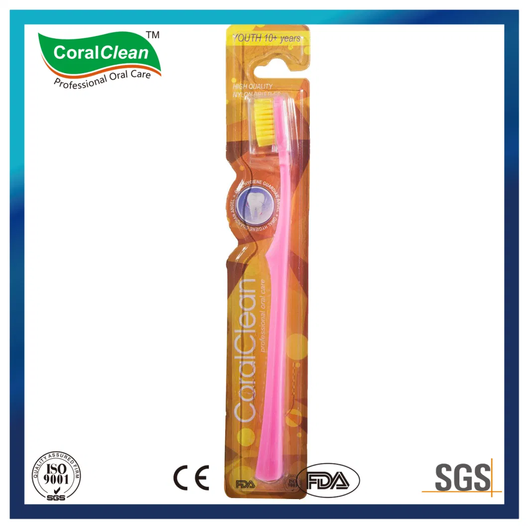 Wholesale OEM Ultra Soft Filament Adult/ Kid Toothbrush