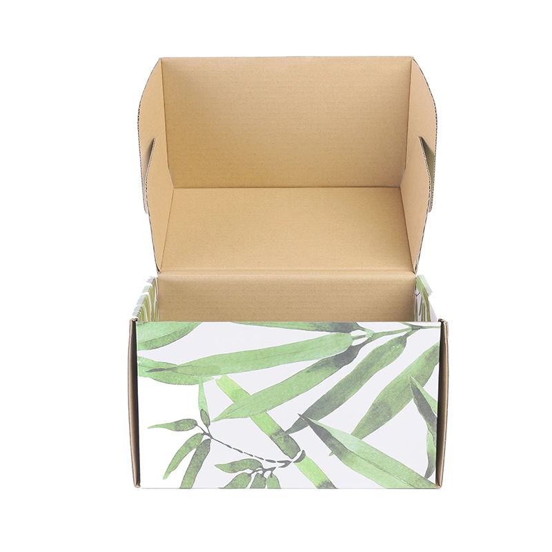 Custom Eco-Friendly Paper Corrugated Packaging Box for Toothbrush