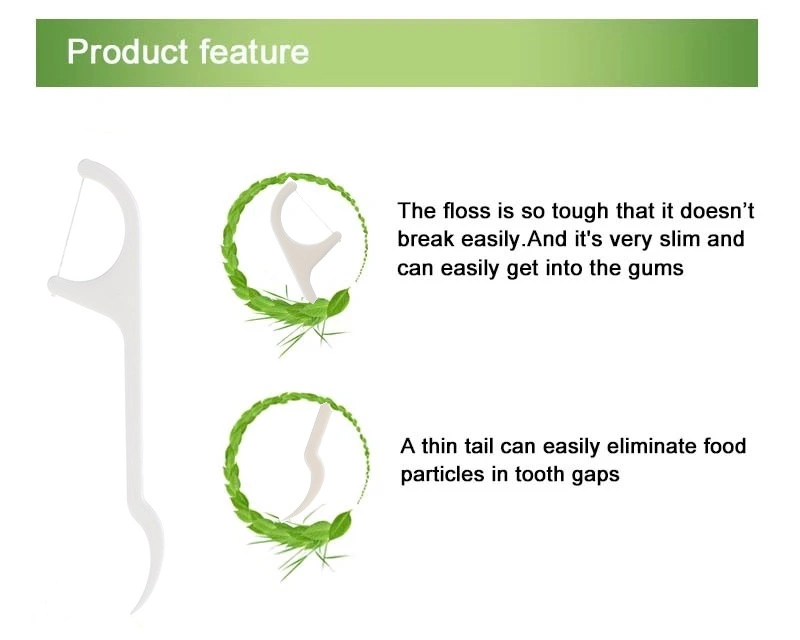 Biodegradable Dental Flosser Floss Toothpick Factory