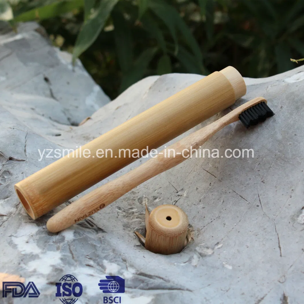 Yangzhou Supplier BPA Free Eco Friendly Bamboo Toothbrush