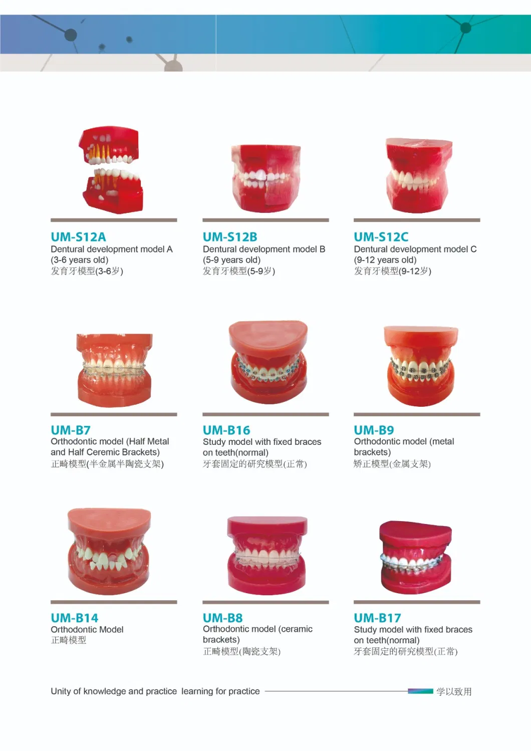 Hot Sale Brushing The Tongue with Alarge Model