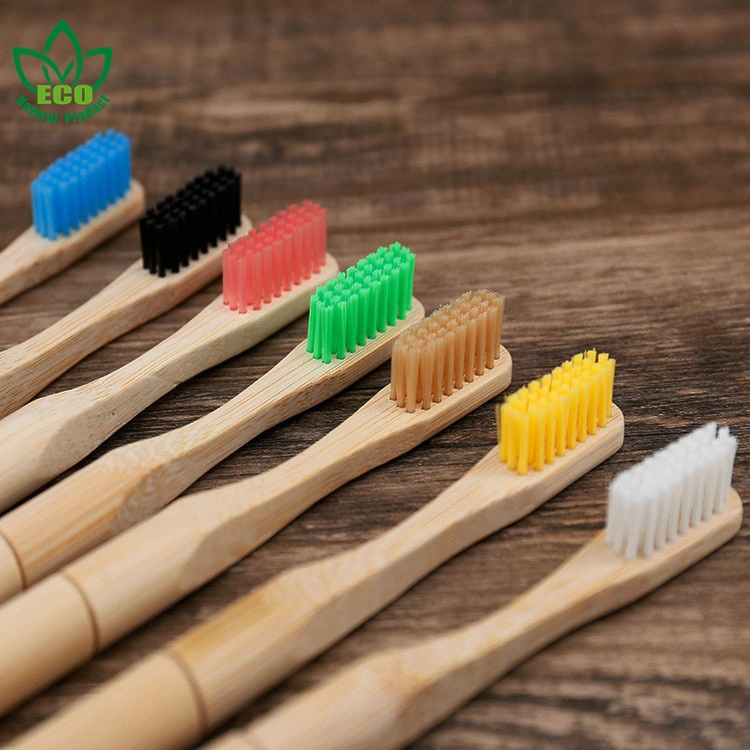 Biodegradable Eco Friendly Toothbrush Head Replacement Bamboo Toothbrush with Replaceable Head