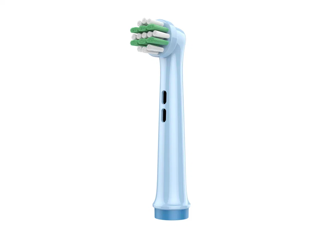 Electric and Replaceable Toothbrush Head