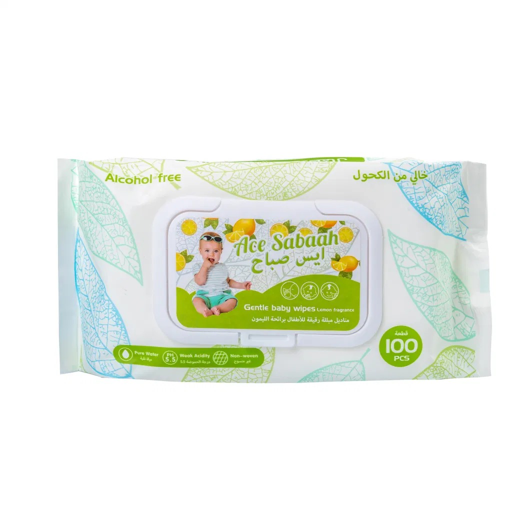 Extract Make-up Removing Adult Wet Wipes for Multipurpose Cleaning