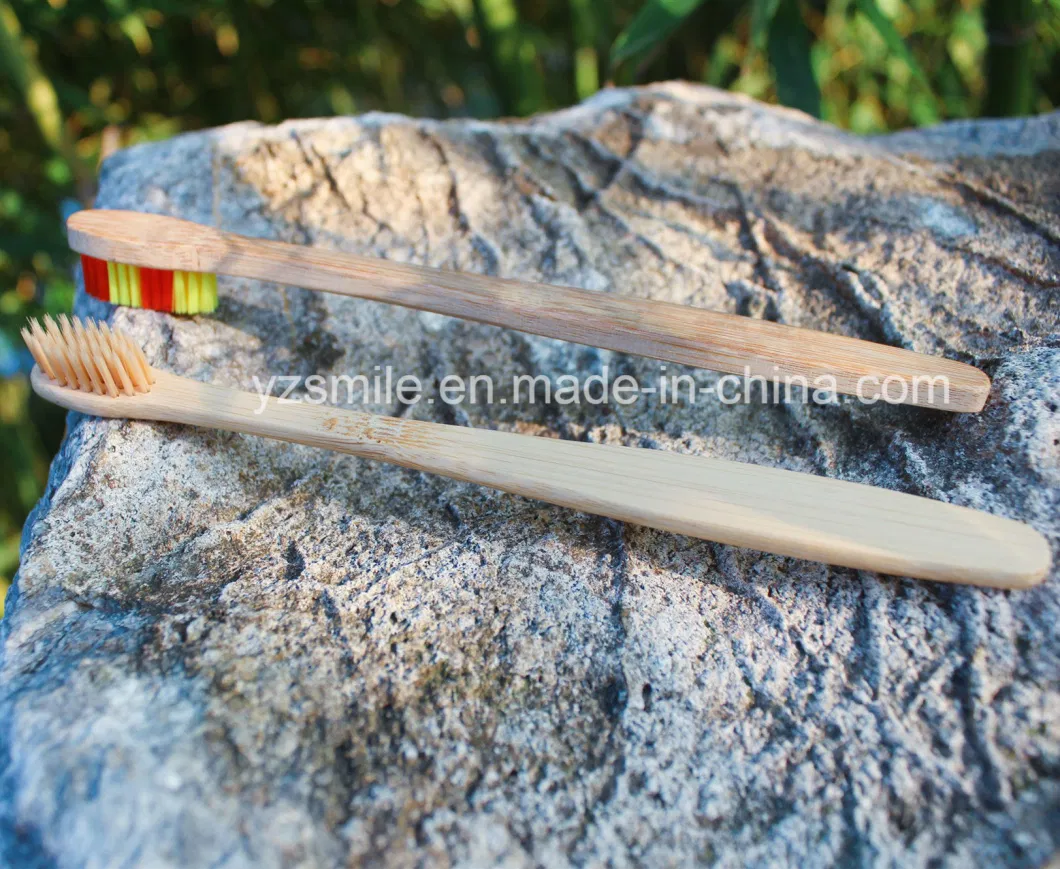 Free Sample OEM 100% Biodegradable Eco Bamboo Toothbrush