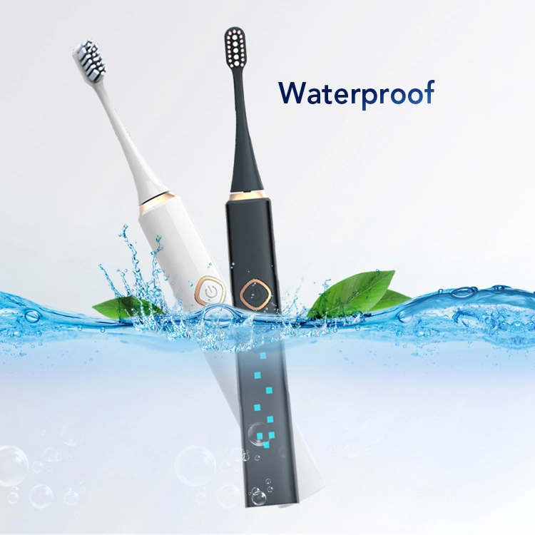 OEM Adult Rechargeable Sonic Electric Toothbrush with Double Brush Heads