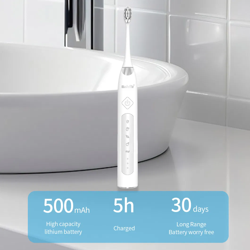 Professional Oral Care Products China Manufacturer Electric Toothbrush