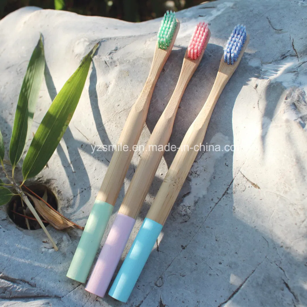 Free Sample OEM 100% Biodegradable Eco Bamboo Toothbrush