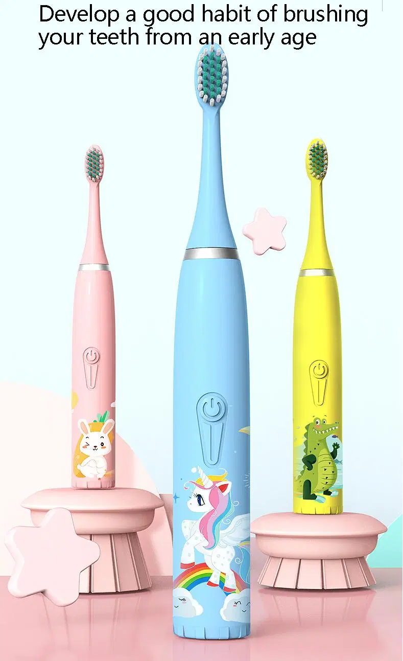 Professional Wholesale Ipx7 Waterproof Sonic Toothbrush Adult Rechargeable Electric Toothbrush