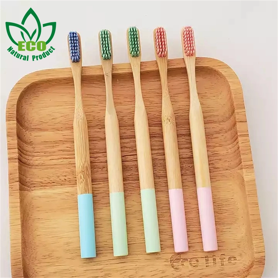 Ecological Sustainable Bamboo Toothbrush with New Painted Round Handle