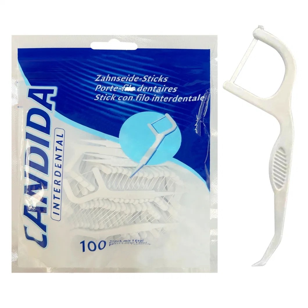 China High Quality Biodegradable Dental Floss Pick with Fad