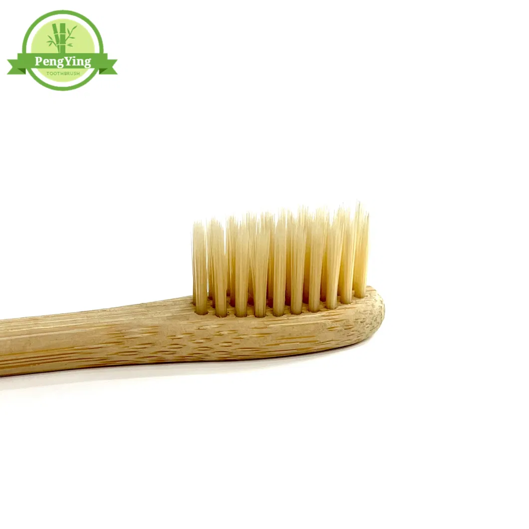 China Factory 100% Zero Waste Bamboo Toothbrush