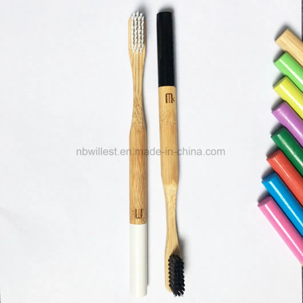 Ecological Hotel Travel Home Toothbrush