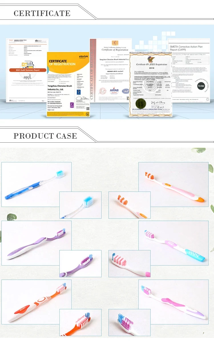 2018 China Supplier Dental Care Export Home Toothbrush