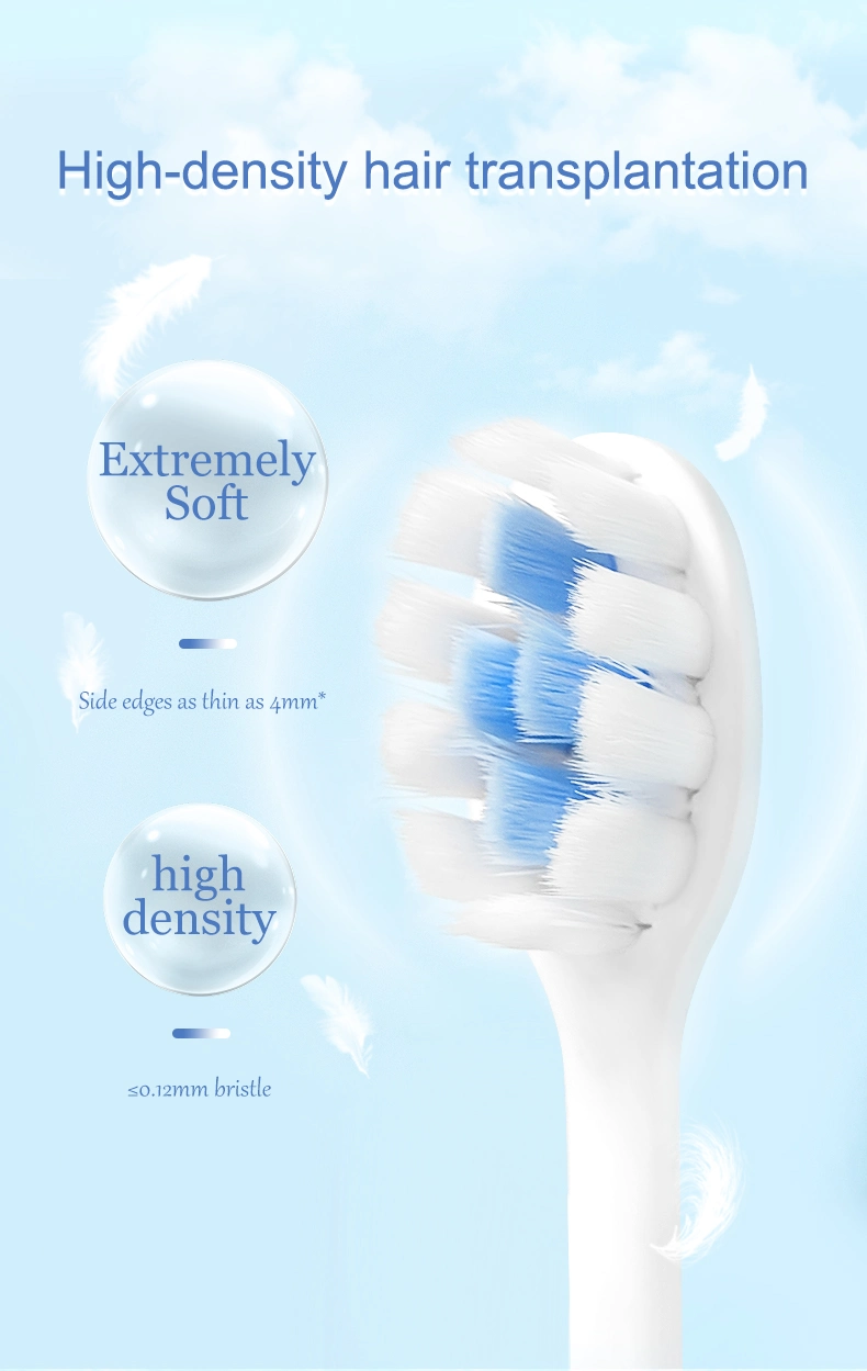 New Design Comfortable Handle Fast Delivery Custom Logo Adult Toothbrush