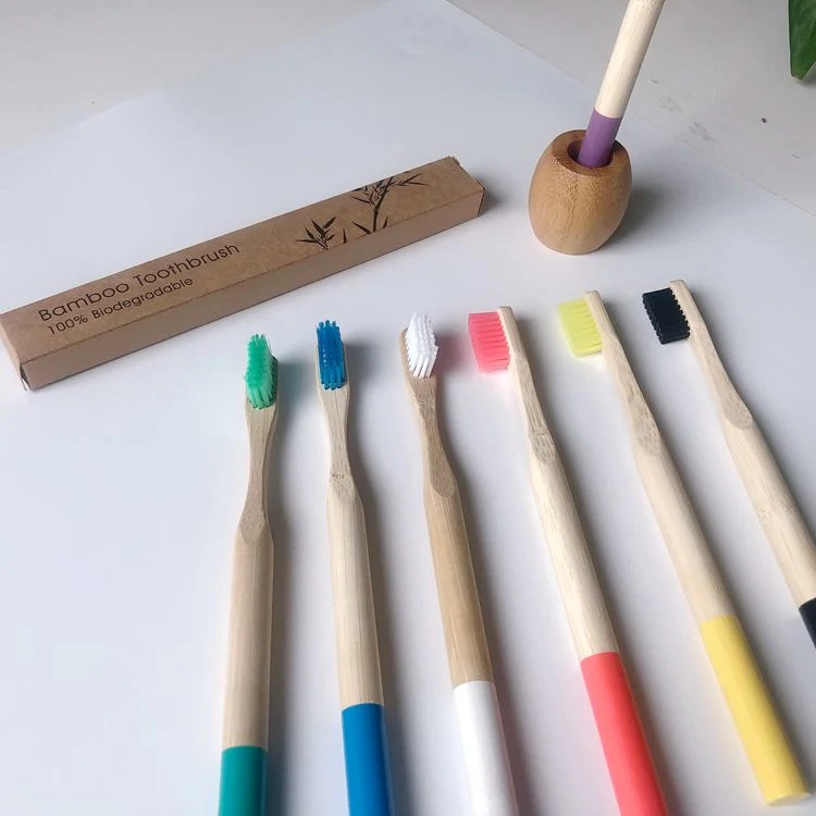 Zero-Waste Round Handle Natural Bamboo Toothbrush