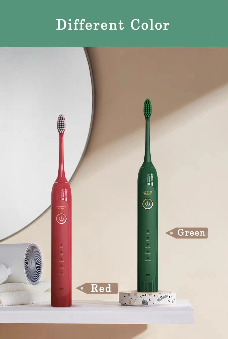 Sonic Electric Toothbrush with 2PCS Toothbrush Head Electric Toothbrush Motor Electric