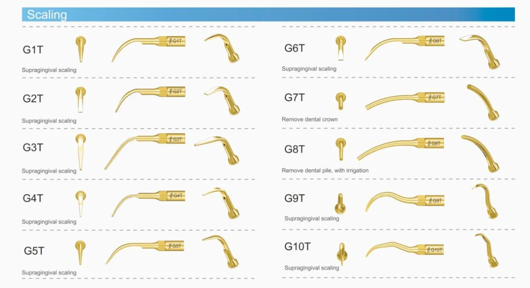 Dental Instruments Ultrasonic Insert Scaler Tips Gk1 Gk2