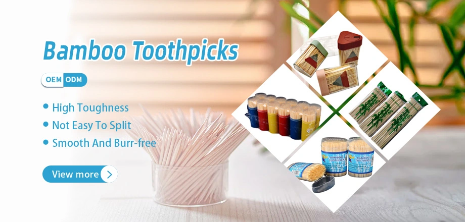 Private Label Biodegradable Toothpick Disposable Oral Bamboo Charcoal/Wooden/Wheat Straw/Plastic Flosser Stick Dental Floss Pick